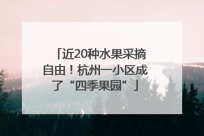 近20种水果采摘自由！杭州一小区成了“四季果园”